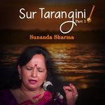 Vilambit and Drut Khayaal - Raag Madhuvanti