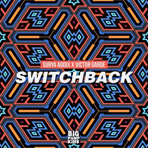 Switchback cover art