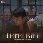 Tere Bin