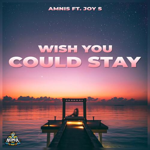 Wish You Could Stay_poster_image