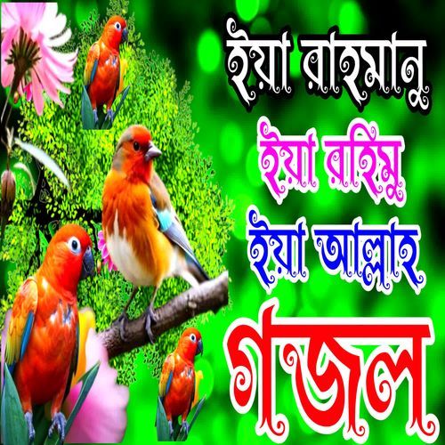 Ya rahmanu ya rahimu ya allah