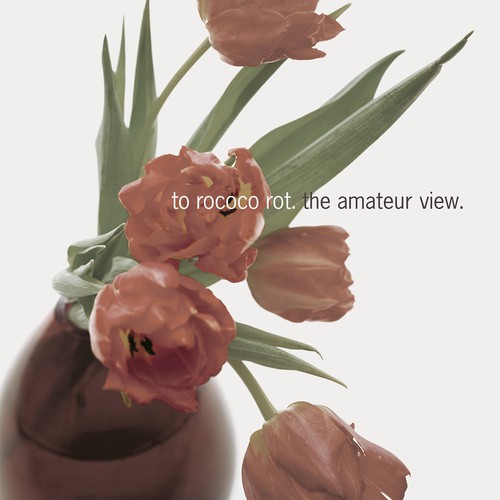 the amateur view (deluxe edition)
