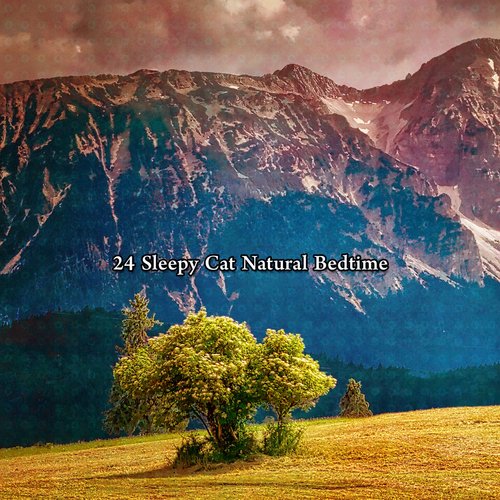 Natural Scale cover art