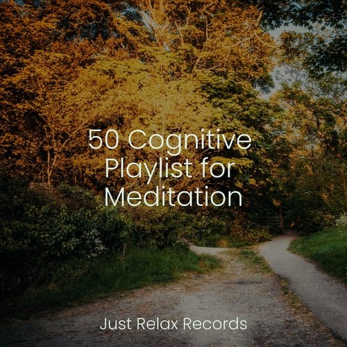 50 Cognitive Playlist for Meditation