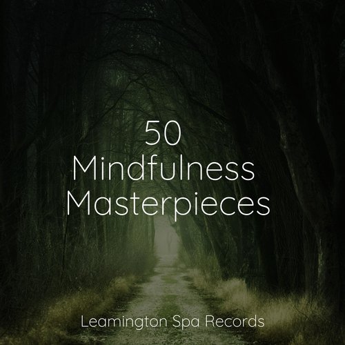 Focused, Relaxed cover art