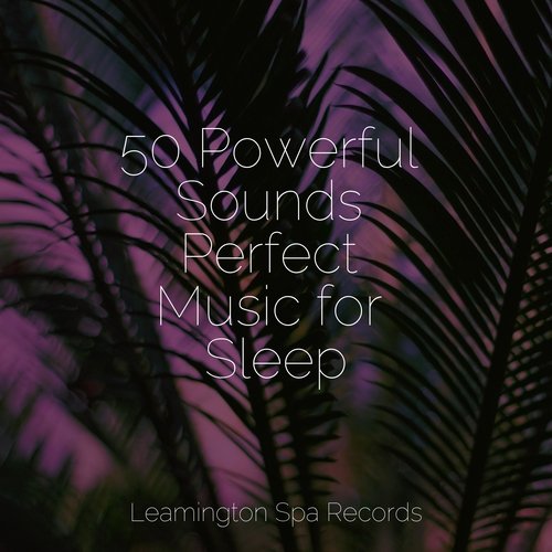 50 Powerful Sounds Perfect Music for Sleep