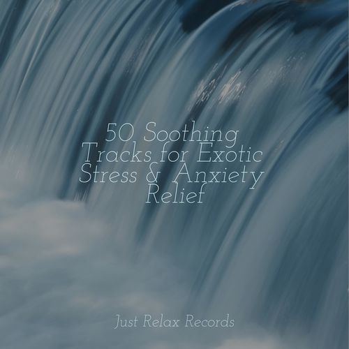 50 Soothing Tracks for Exotic Stress & Anxiety Relief_poster_image