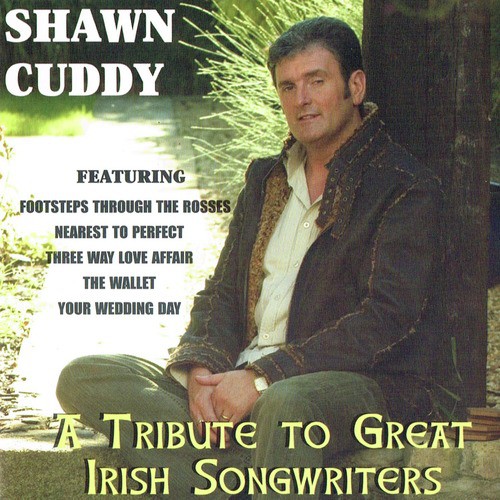 A Tribute to Great Irish Songwriters