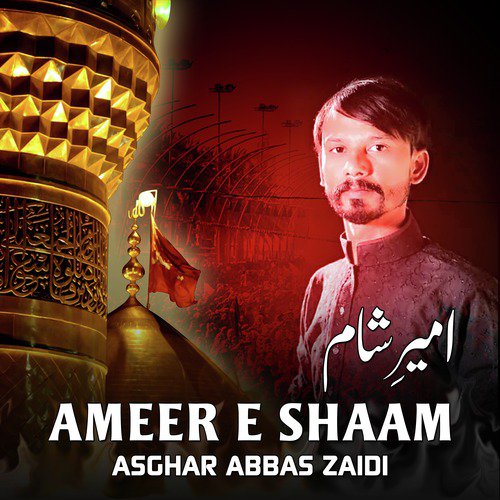 Ameer E Shaam - Single