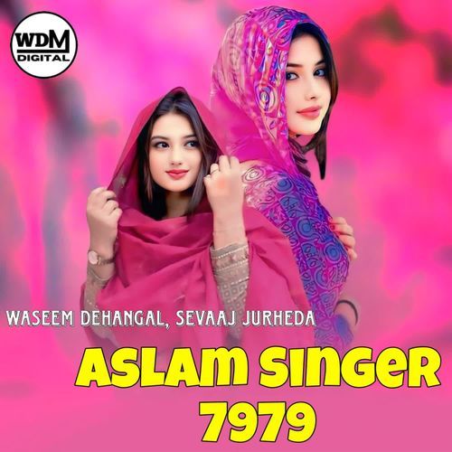 Aslam Singer 7979