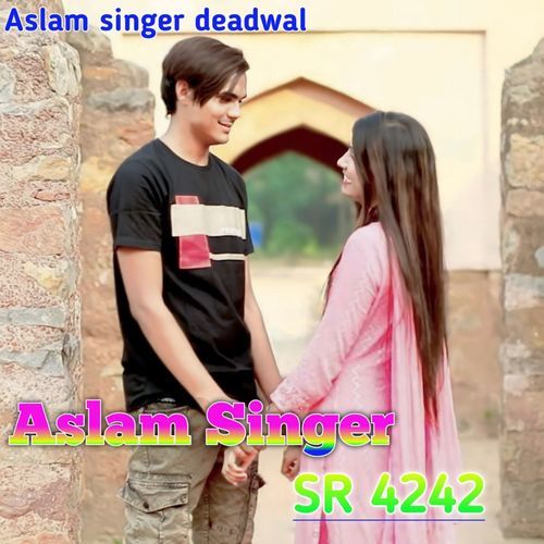 Aslam Singer SR 4242