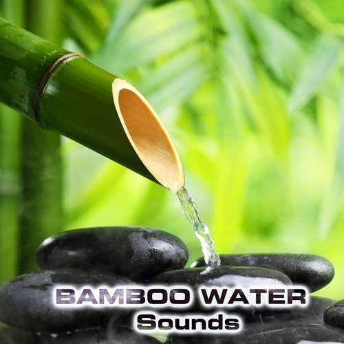 Bamboo Water Sound (feat. Water Atmosphere Sounds, Water Healing FX, Water Sleep Sound, Water Tap Sound, Water White Noise & Atmospheres Sounds) cover art