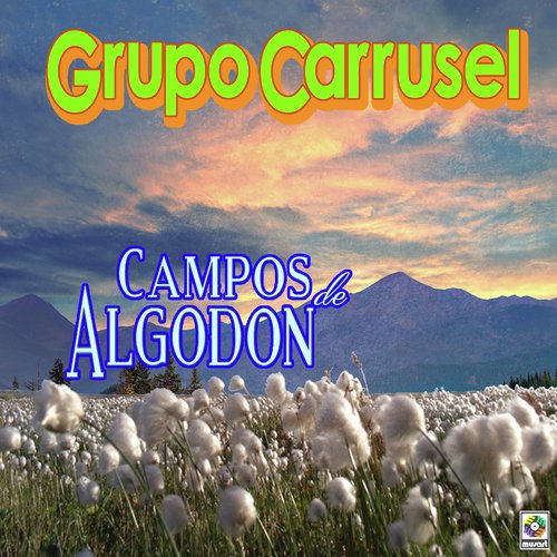 Campos De Algodón_poster_image