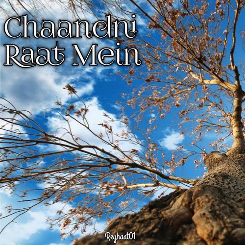Chaandni Raat Mein