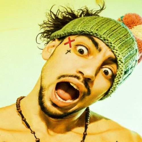 Diss Chipinkos cover art