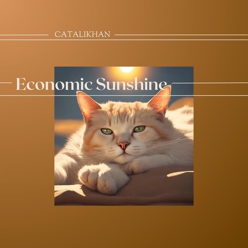 Economic Sunshine_poster_image