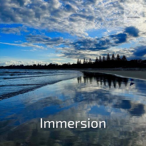 Immersion (feat. Christophe Goze)_poster_image