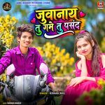 Juvanay Tu Game Tu Pasand artwork