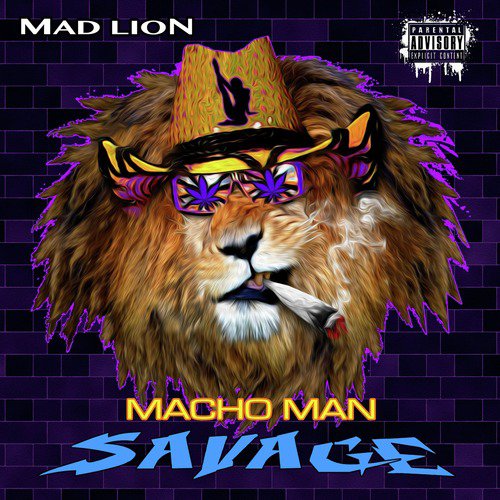 Macho Man Savage_poster_image