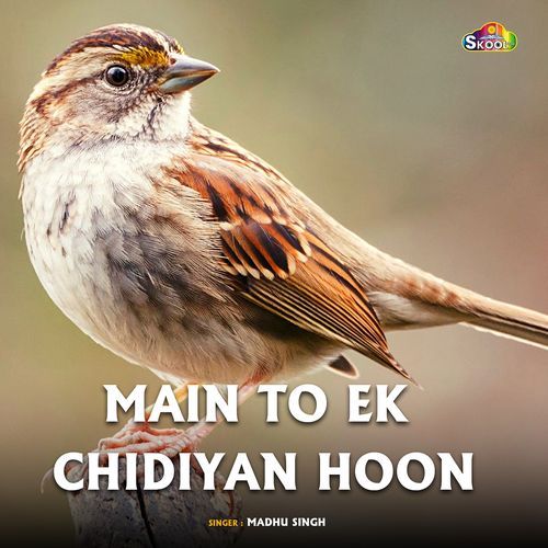 Main to Ek Chidiyan Hoon