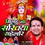 Milahu Na Sakhiya Sahelari