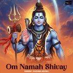 Om Namah Shivay