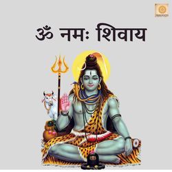 Om Namah Shivay