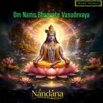 Om Namo Bhagvate Vasudevaya-Dhyan