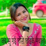 जब सु गई छोरी छोड़के मेवाती