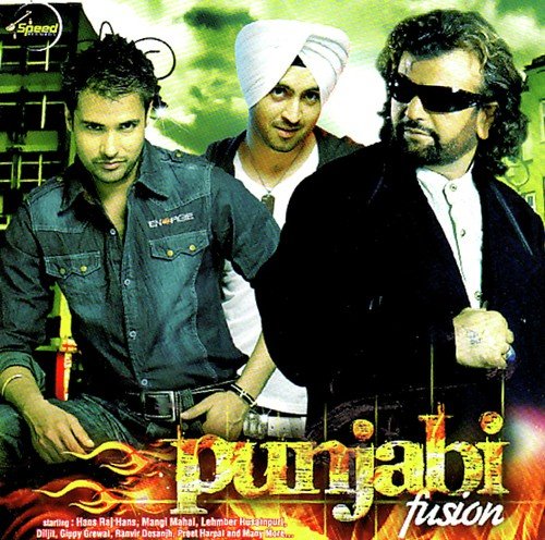 Punjabi Fusion