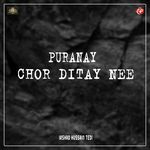 Puranay Chor Ditay Nee