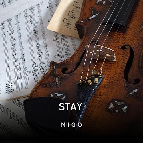 STAY