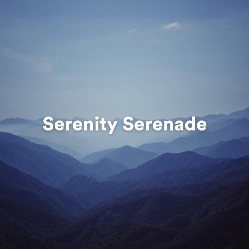 Serenity Serenade: Calming Ambient Melodies for Deep Relaxation_poster_image