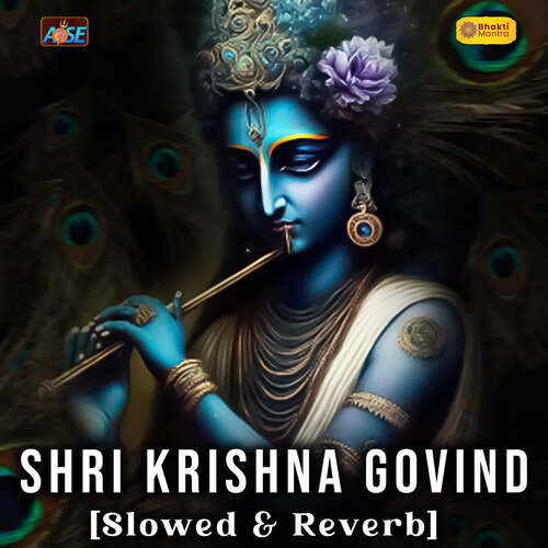 Shri Krishna Govind Slowed & Reverb