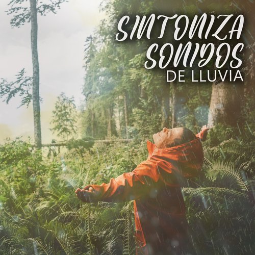 Sonidos Relajantes de lluvia, Viento y Tormentas Eléctricas cover art
