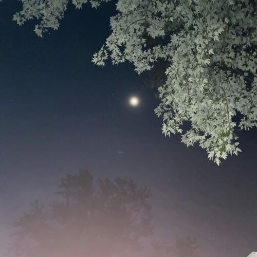 Sirus cover art