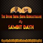 The Divine Shiva (Shiva Rudrastakam)