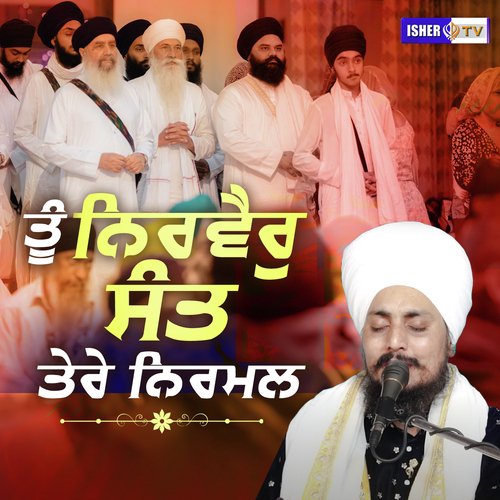 Tu Nirvair Sant Tere Nirmal cover art