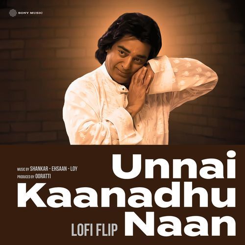 Unnai Kaanadhu Naan (Lofi Flip)-okv tunes