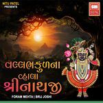 Vallabh Kudna Vhala Shreenathji