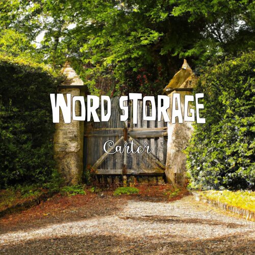 Word Storage_poster_image