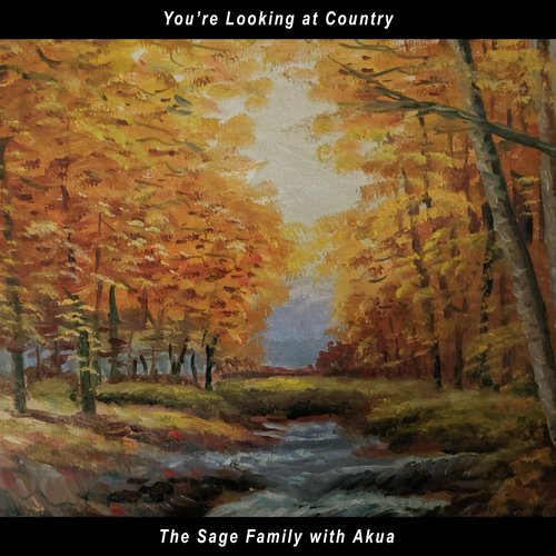 You're Looking at Country (feat. Akua)_poster_image