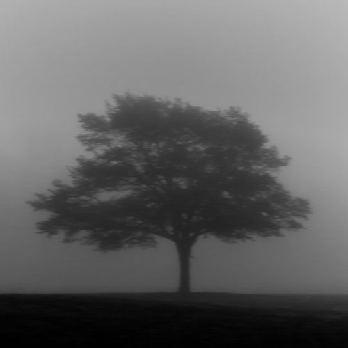 get lost in yourself