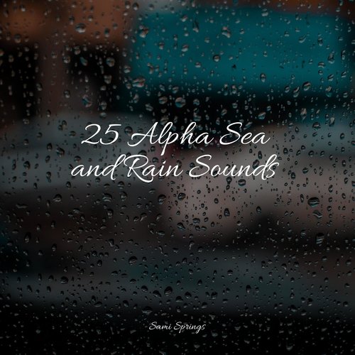 Rain, Storm and Thunder cover art