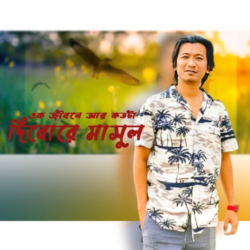 একজীবনে আর কতটা দিবরে মাসুল