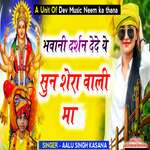 Bhawani Darshan Dede Ye Sunn Shera Vali Maa
