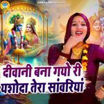 DIWANI BANA GAYO RI YASHODA TERA SANWARIYA