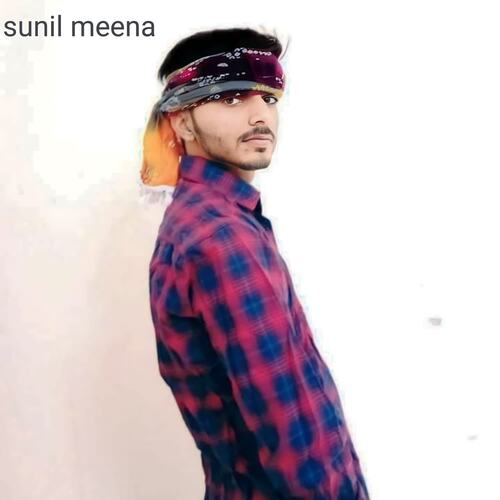 Dadagiri meena