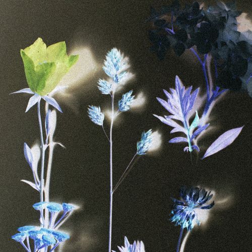 Det beste vi har cover art