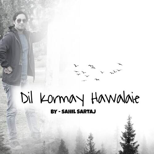 Dil Kormay Hawalaie 